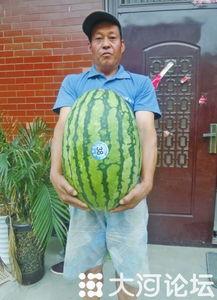 51今日吃瓜热门大瓜视频 51热门大瓜今日大瓜最新